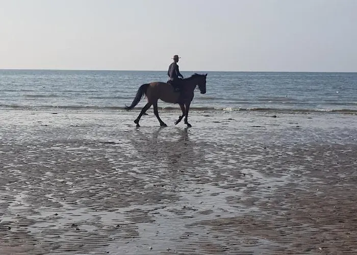 Les De Ninon 3* Moult