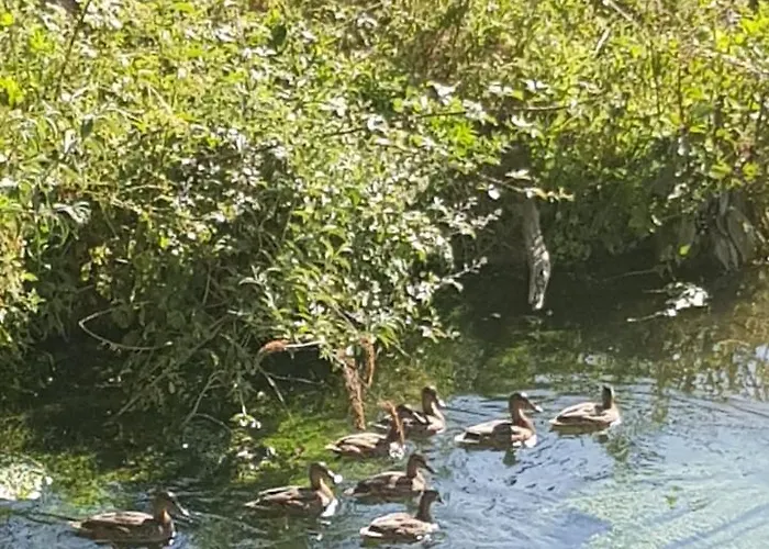 Les De Ninon ホテル Moult